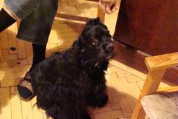 Resize of DSC01696.JPG